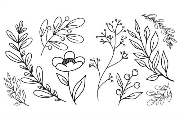 6 Botanical Illustrations: A Designer’s Graphics Review for Client Work