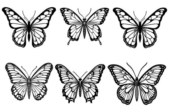 Butterfly Vector Illustrations Design: Graphics & Illustrations