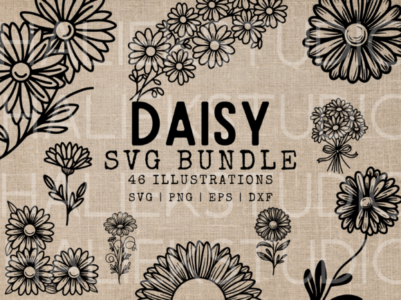 Daisy SVG Illustrations: A Fresh Take on Floral Graphics