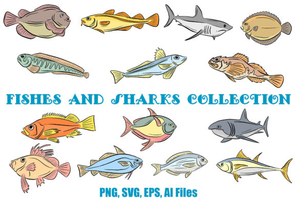 Line Art Fish and Sharks Illustrations: Graphics & Illustrations for Digital Publishing